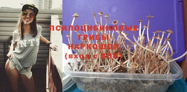 метамфетамин Дмитриев