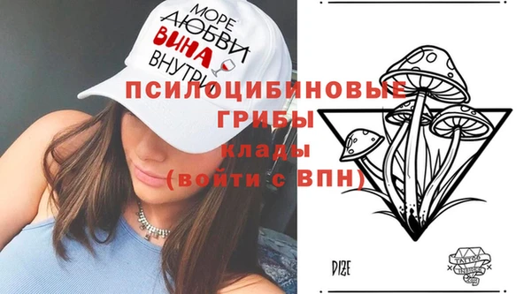 метамфетамин Дмитриев