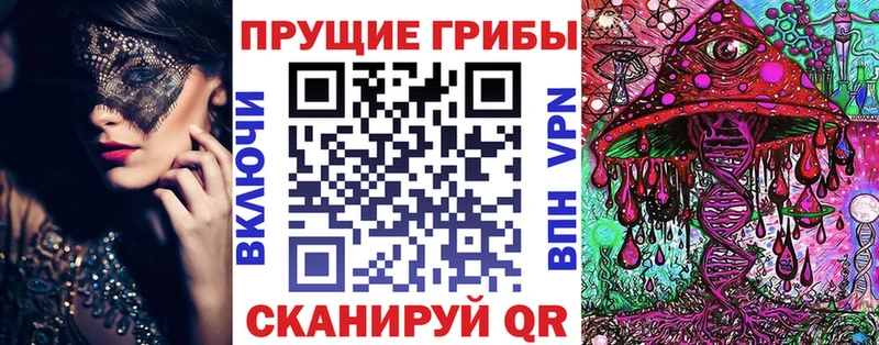 Псилоцибиновые грибы Psilocybe  Зея 